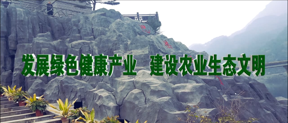 &#27431;&#23453;&#32593;&#39029;&#29256;&#30331;&#24405;&#20837;&#21475;&#45;&#27431;&#23453;&#40;&#20013;&#22269;